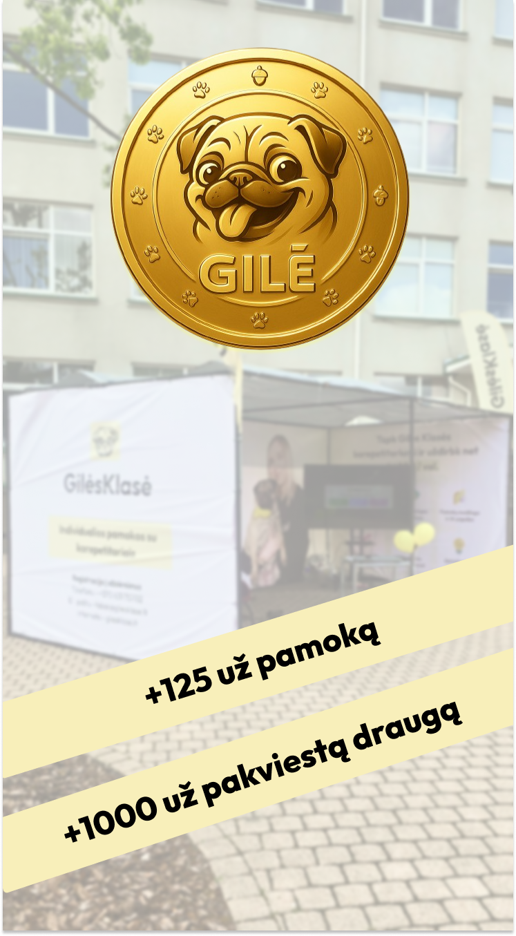 Taškų sistema veikimas